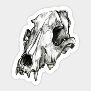 Canine Skull Sticker